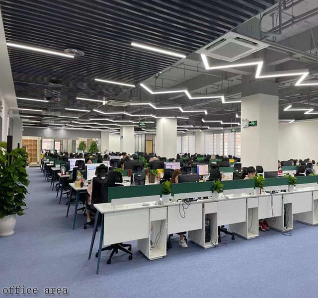 Chiny HK HUAYONGLI ELECTRONIC INDUSTRIAL CO.,LIMTED. profil firmy